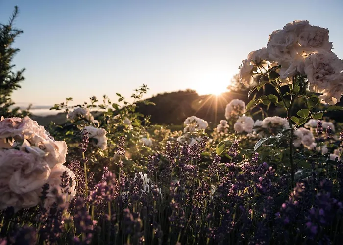 住宿加早餐酒店 Winzarei Ciringa Menhard